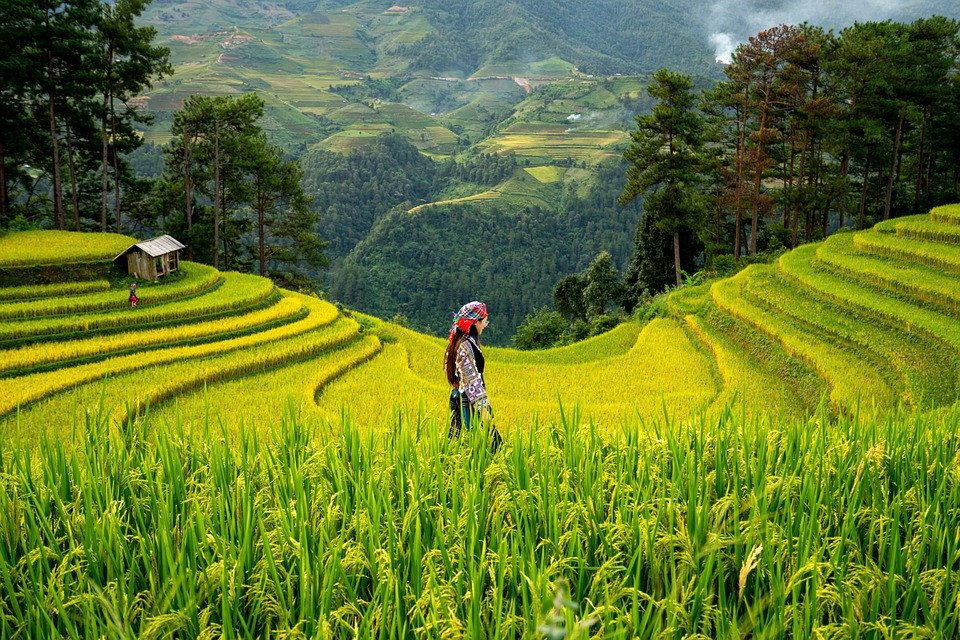 איך לתכנן חופשה רומנטית מבלי להרגיש שהרווחת את כל ההון
